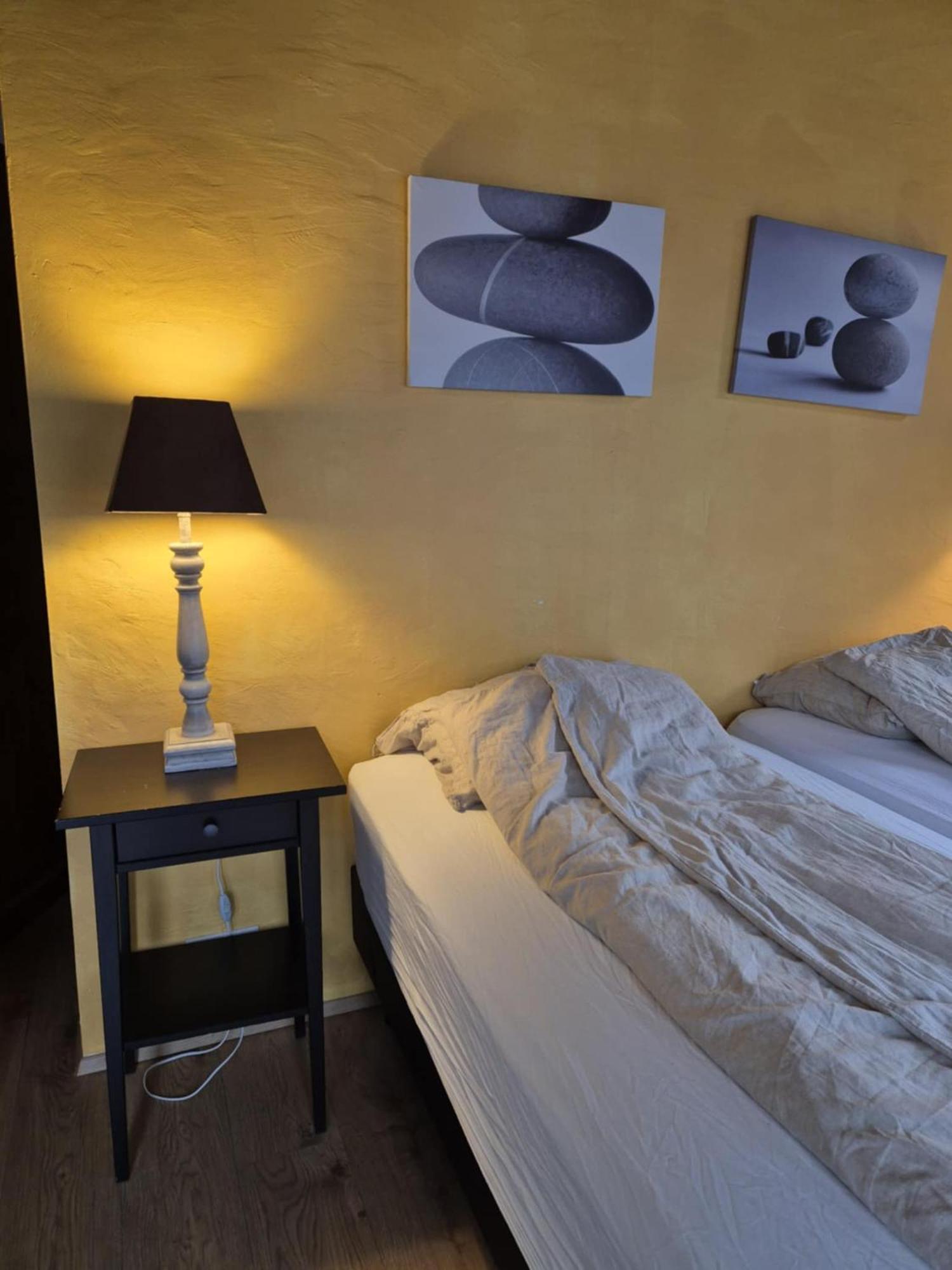 Beautiful Guestroom To Rent With A Mountain View 劳加尔瓦特恩 外观 照片